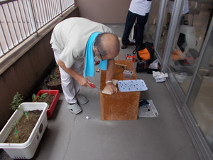 DSCN2332.JPG